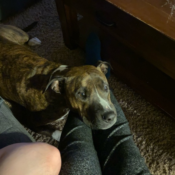 Meet your Posher, Briana - Picture 7 of 9